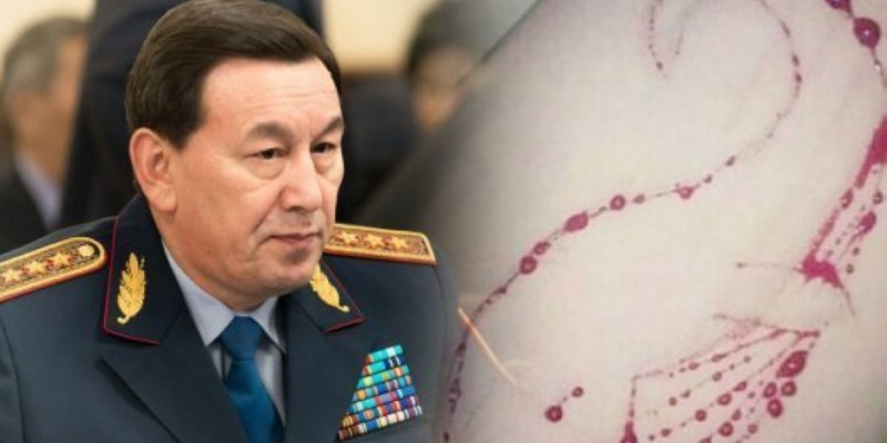 Ішкі істер министрі "Синий кит" ойыны жайлы айтып берді