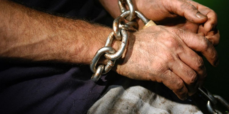 Ресейлік академик Қазақстанда 3 жыл бойы құлдыққа жегілген