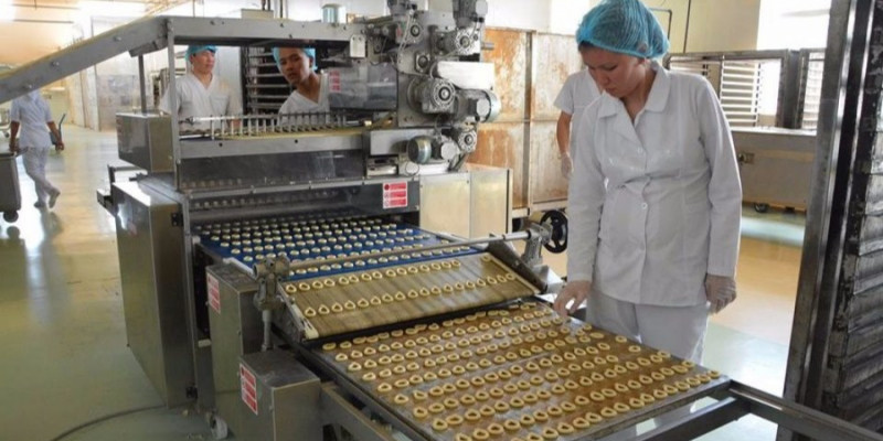 Оңтүстік Қазақстан ЭКСПО көрмесіне 13 мың тонна өнім жеткізеді