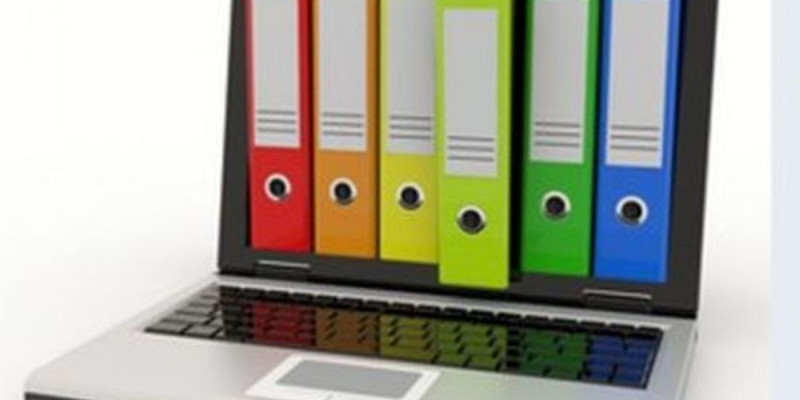 Үкіметте құжат жинау машақатынан құтылу жолдары талқыланды