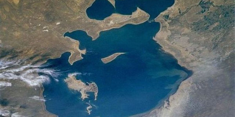 Аралдан жылына 8-8,5 мың тонна балық ауланады