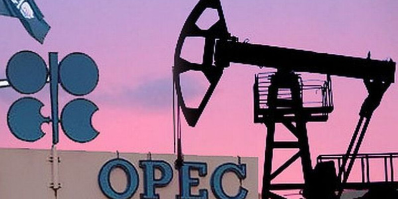 ОПЕК баяндамасынан кейін мұнай бағасы құлдырап кетті