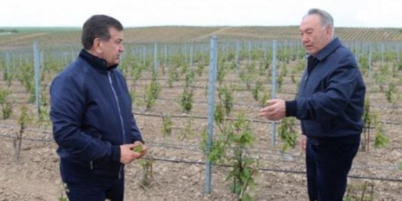 Нұрсұлтан Назарбаев Өзбекстан президентін туған күнімен құттықтады