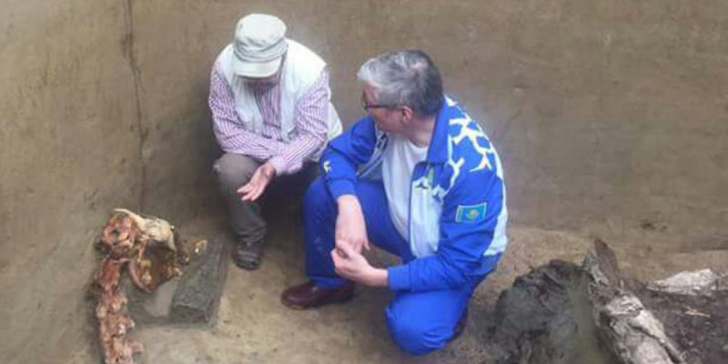 Зейнолла Самашев Берел қорғанында табылған тарихи жәдігерге қатысты түсінік берді