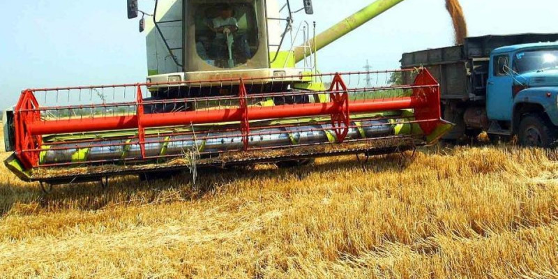 Қарағанды облысында егін түсімі бөмен болуы мүмкін