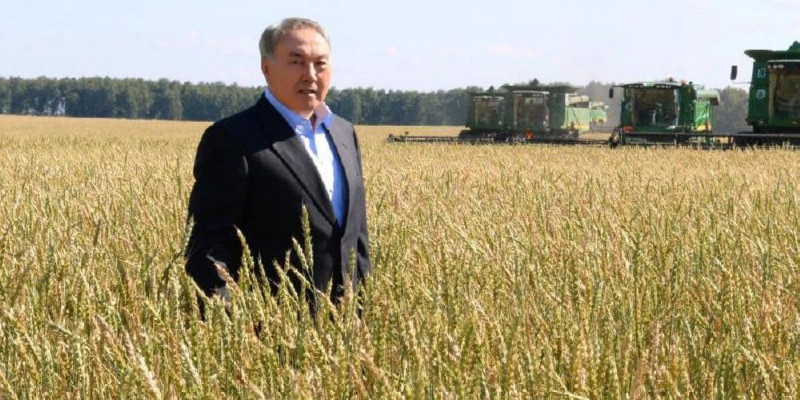 Мемлекет басшысы Ақмола облысында егін алқабын аралады