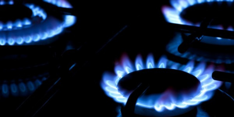 Ірі газ компаниясының тарифті негізсіз көтергені дәлелденді