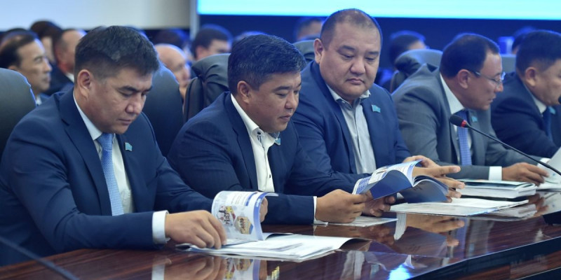 Түймебаевтың жұмысын оң бағалады
