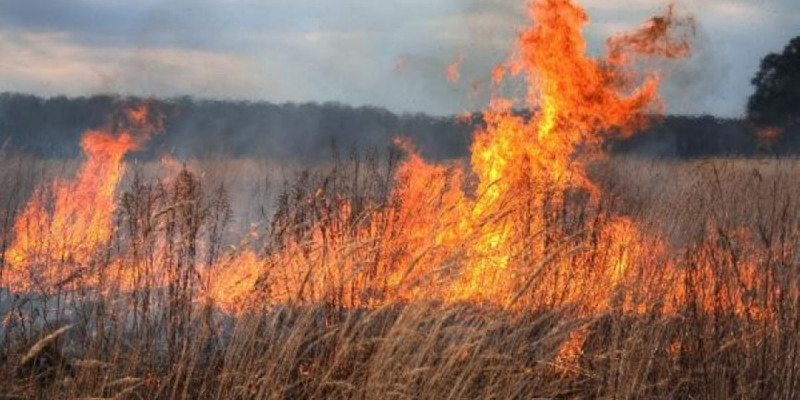 Ен даладағы өртті сөндірем деп әлек болған әкім тірідей жанып кетті