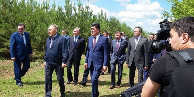 Астананың қорғаны – қалың орман