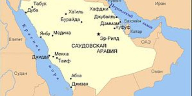 Сауд Арабиясының он ханзадасы тұтқындалды