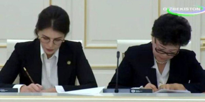 Мирзияевтің қызы үкіметте жаңа қызметке тағайындалды