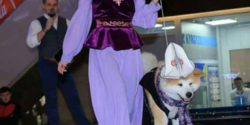 Ақ қалпақ үшін ашулы