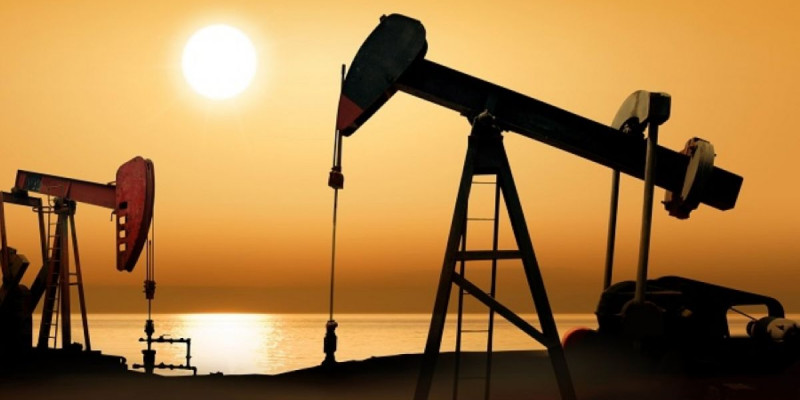 Қара алтын қымбаттады