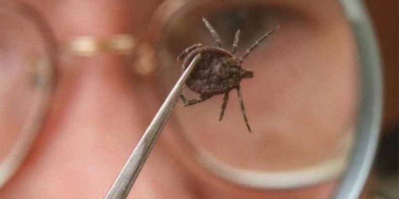 Ақ халаттылар  әбігерге түскен шақ