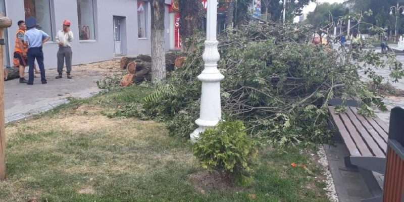 4 ТАЛ КЕСІП, 40 ТАЛ ЕГЕДІ