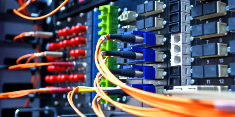 Үкімет IT-идеялары үшін шетелдіктерге жұмыс пен баспана береді