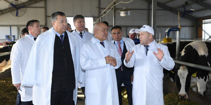 Қазаққа зор қуаныш – Қанат жайған ауылдар
