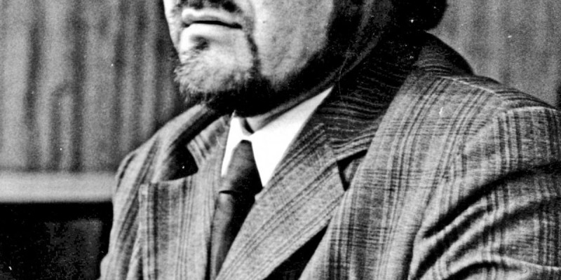 Театр сынының тарланы