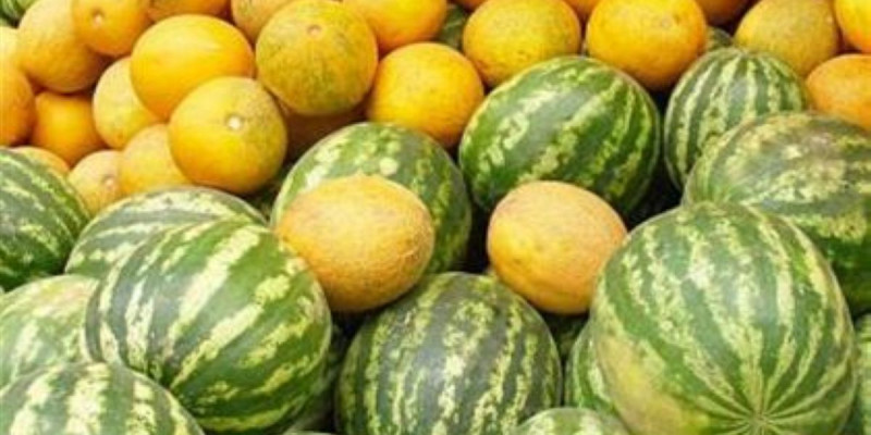 Отырар диқандары олжалы