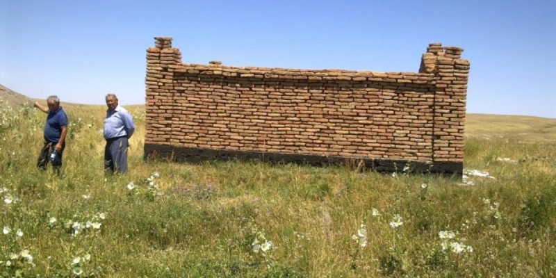 КӨСЕГЕНІҢ КӨКЖОНЫ
