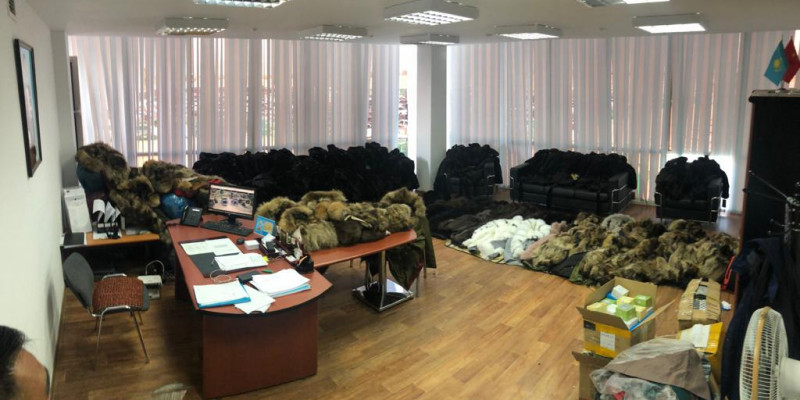 ЖАСЫРАМЫН ДЕП ЖАРҒА ЖЫҒЫЛДЫ