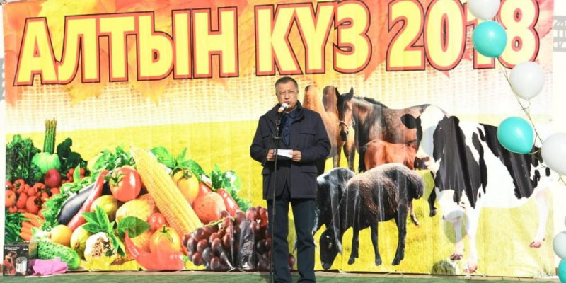 Сарыағаштық диқандар 60 млрд теңгенің өнімін өндірді