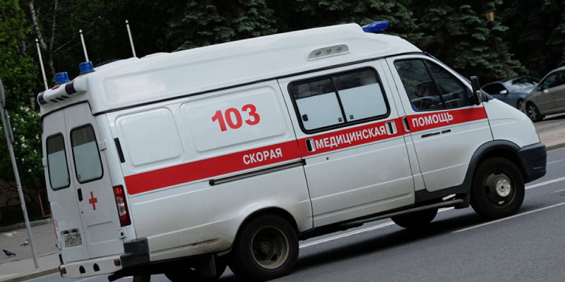Жылқы кесірінен болған жол апатынан 5 адам қаза тапты