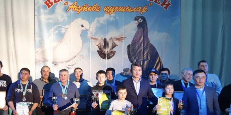 Ақтөбе қаласында өткен фестивальде 20 шақты көгершін көпшілік назарына ұсынылды