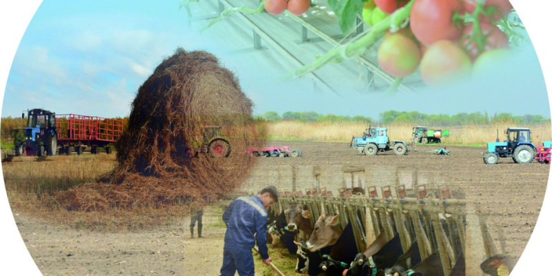 АУЫЛ ШАРУАШЫЛЫҒЫ АЛҒА БАССА...