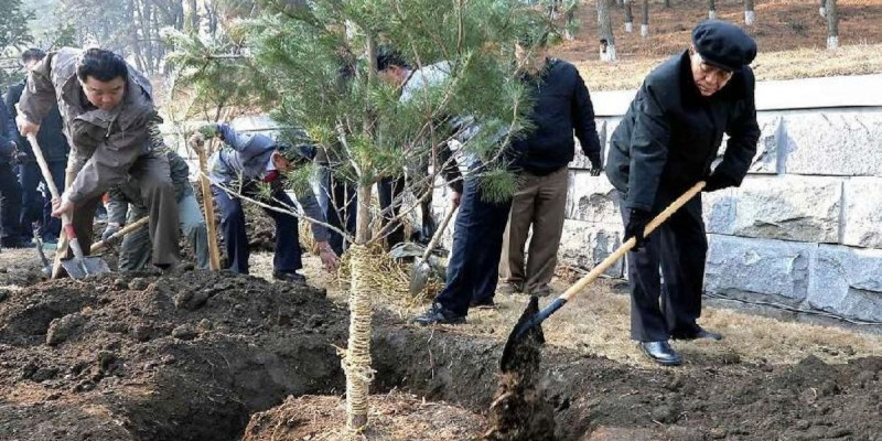 КХДР тұрғындары ағаш егу мерекесін атап өтті