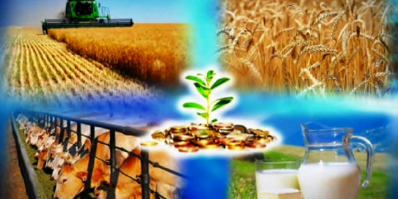 Аграрлық салаға кәсіби маман керек