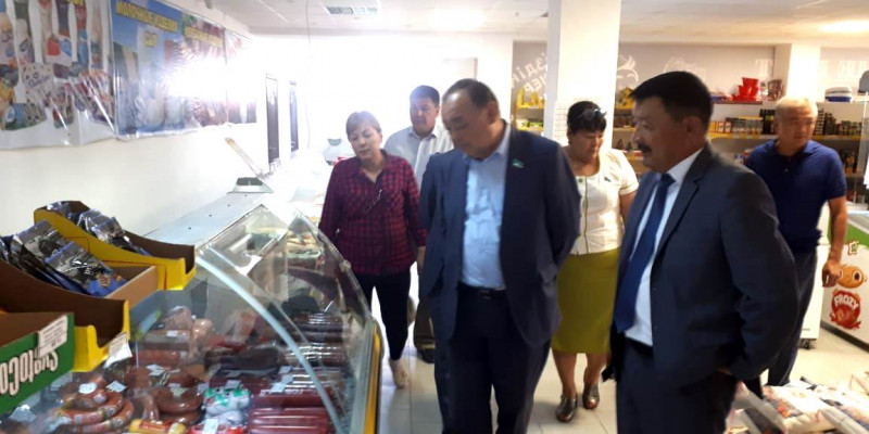 Сенат депутаттарының ауылға сапары