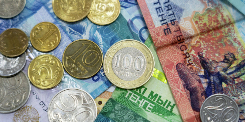 Мемлекет қандай жағдайда кредитті төлеп береді?