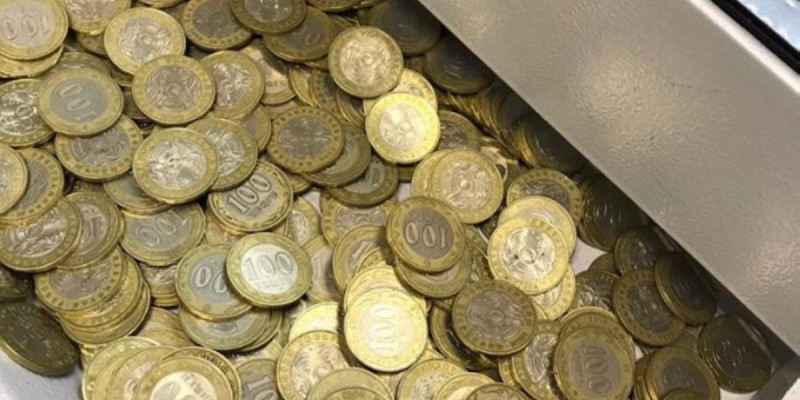 4 сағат санаған: 7 жыл бойы бөтелкенің ішіне тиын жинаған отбасы жұртты таңғалдырды