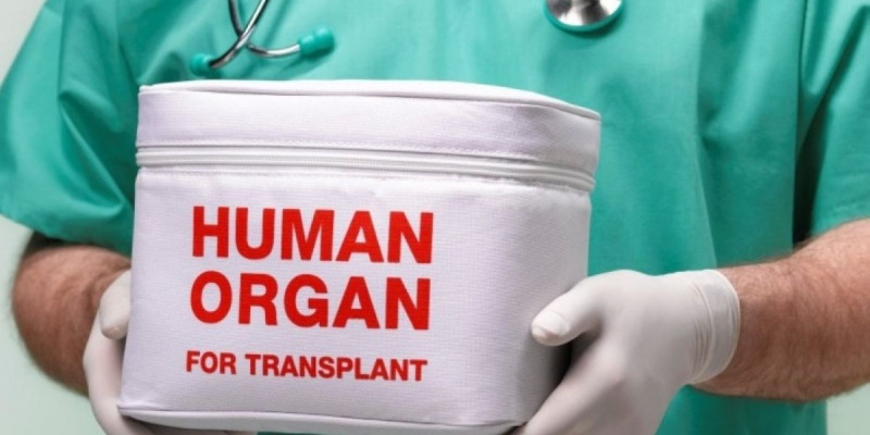 Адам ағзасын шетелге сатуға қарсы петиция – мәжіліс депутаты жауап берді