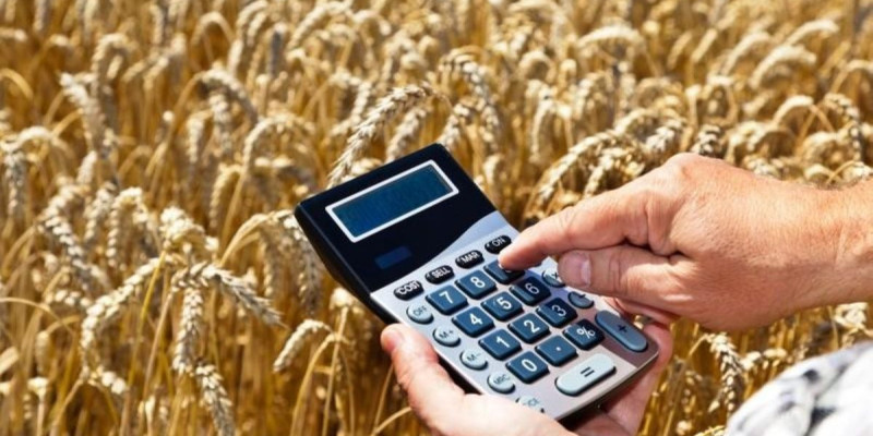 Aуыл шаруашылығы субсидиясын басқа мақсатта жұмсауды қою керек – министр