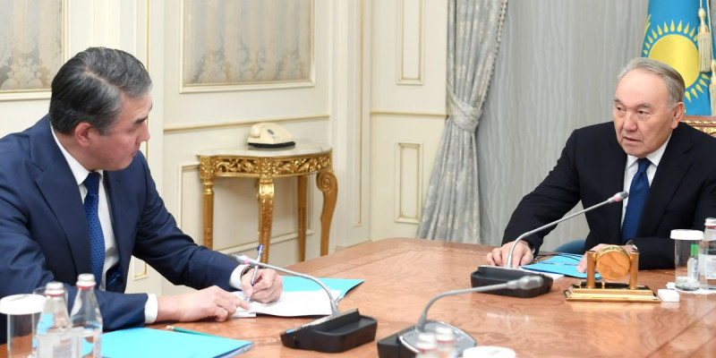 Елбасы Президенттің көмекшісіне тапсырма берді