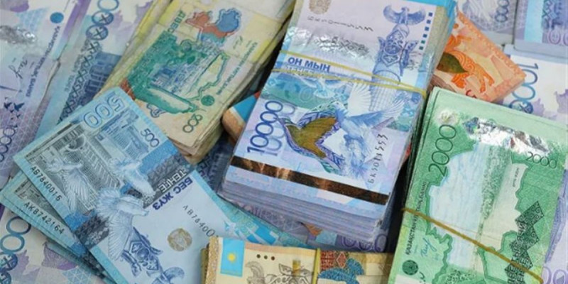 Birgemiz: Қоғамдық қорға 6,5 млрд теңгеге жуық қаржы түсті