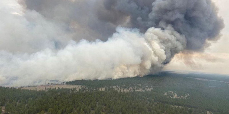 ШҚО: 4 мың гектарды шарпыған орман өртіне кінәлілер анықталды