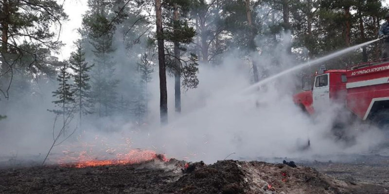 ШҚО-да өртеніп жатқан орман тәулік бойы сөндірілуде