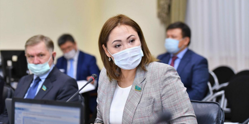 Дәрігерлер мен журналистердің кәсіби құқықтары заңмен қорғалуы тиіс – сенатор