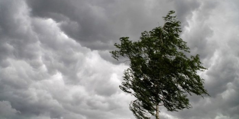 Еліміздің 8 өңірінде дауылды ескерту жарияланды