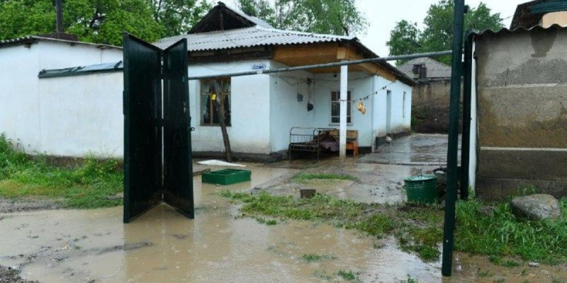 Мақтаарал тұрғындары төлебиліктерге көмек қолын созды