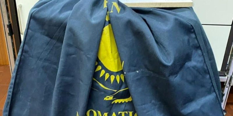 Гуманитарлық көмек: Жапония Қазақстанға коронавирусты емдейтін дәрі-дәрмектер жіберді
