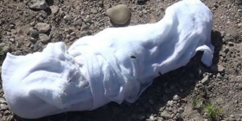 Қостанай облысында зират ішінен шақалақтың денесі табылды