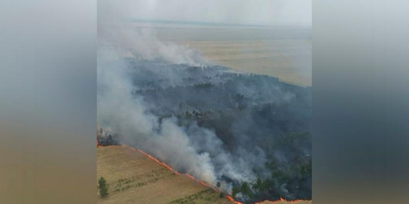 Ертіс орманындағы алапат өртті тікұшақпен сөндіріп жатыр (видео)