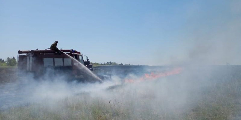 Дала өрті: Шығыс Қазақстанда 100 гектардан астам аумақ өртеніп кетті