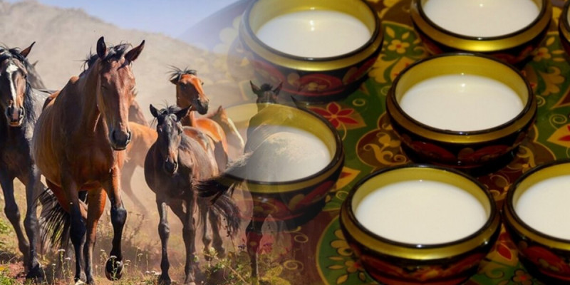 Қымыз, шұбат − барың да, нәрің де осы