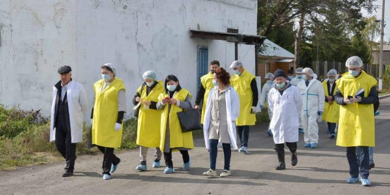Құс тұмауы: АШМ Солтүстік Қазақстан өңіріне келді